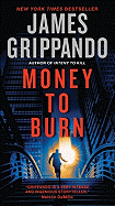 Money to Burn: A Novel of Suspense