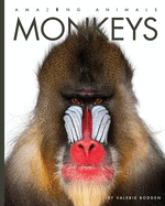 Monkeys