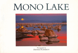 Mono Lake