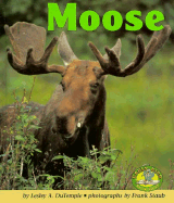 Moose