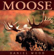 Moose - Wood, Daniel (Text by)