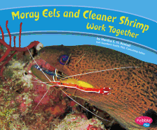 Moray Eels and Cleaner Shrimp Work Together