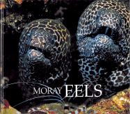 Moray Eels