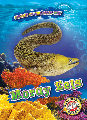 Moray Eels - Shaffer, Lindsay
