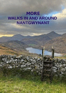 More Walks in and Around Nantgwynant