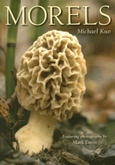 Morels