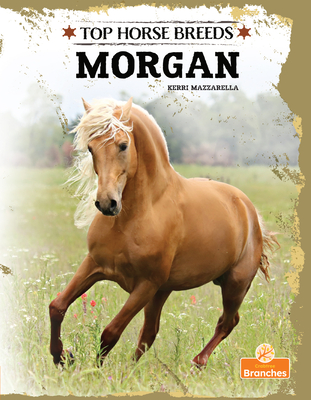 Morgan - Mazzarella, Kerri