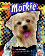 Morkie: A Cross Between a Maltese and a Yorkshire Terrier