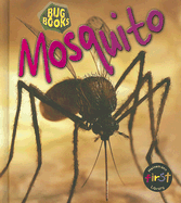 Mosquito