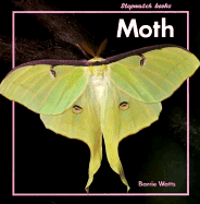 Moth