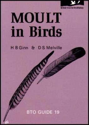 Moult in Birds - 