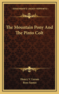 Mountain pony and the pinto colt