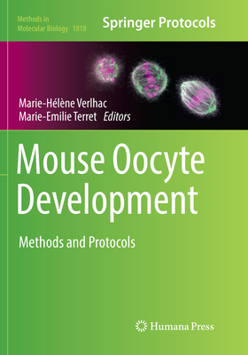 Mouse Oocyte Development: Methods and Protocols - Verlhac, Marie-H�l�ne (Editor), and Terret, Marie-Emilie (Editor)