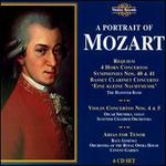 Mozart Portrait