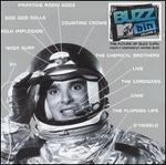 MTV's Best of the Buzz Bin, Vol. 2