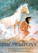 Mud Pony