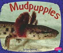 Mudpuppies