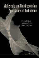 Multiscale and Multiresolution Approaches in Turbulence