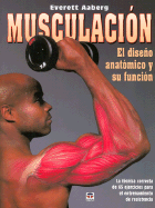 Musculacion