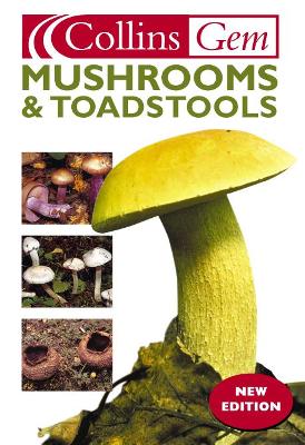 Mushrooms and Toadstools - Harding, Patrick