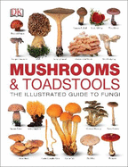 Mushrooms & Toadstools: The Illustrated Guide to Fungi
