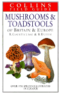 Mushrooms & Toadstools - Courtecuisse, R, and Duhem, Bernard