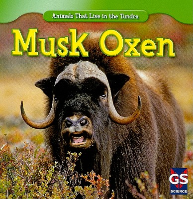 Musk Oxen - Patrick, Roman