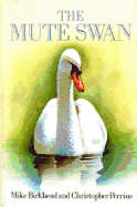 Mute Swan