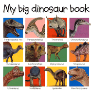My Big Dinosaur Book