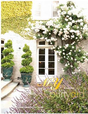 My Courtyard - Chatterjee, Viraj