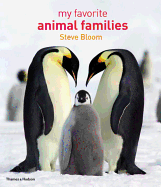 My Favorite Animal Families