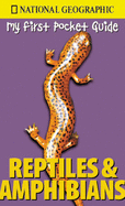 My First Pocket Guide Reptiles and Amphibians