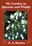 My Garden in Autumn and Winter