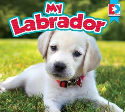 My Labrador - Kissock, Heather