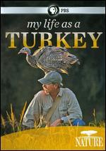 My Life as a Turkey