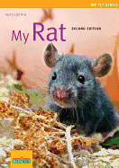My Rat