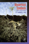 Mycorrhizal Symbiosis