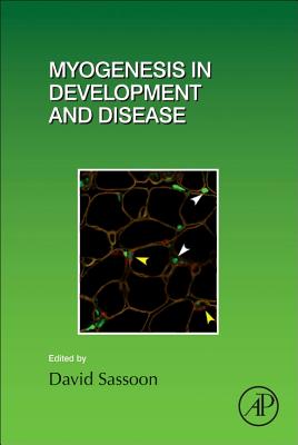 Myogenesis in Development and Disease - Sassoon, David (Volume editor)