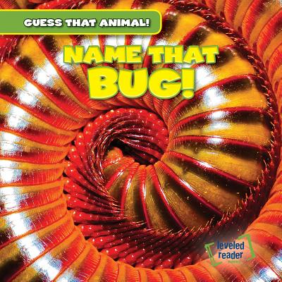 Name That Bug! - Jackson, Demi