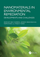Nanomaterials in Environmental Remediation: Developments and Challenges