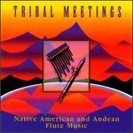 Native American & Andean Flute Music