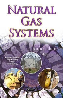Natural Gas Systems - Islam, Rafiq (Editor)