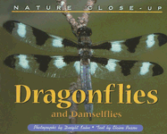 Nature Close Up: Dragonflies