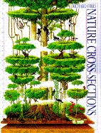 Nature Cross-Sections - Butterfield, Moira