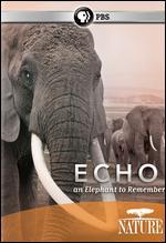 Nature: Echo - An Elephant to Remember