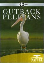 Nature: Outback Pelicans