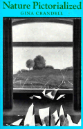Nature Pictorialized: The View in Landscape History