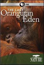 Nature: The Last Orangutan Eden