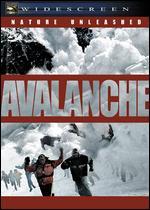 Nature Unleashed: Avalanche