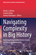 Navigating Complexity in Big History: Exploring Periodization Across Cosmic and Biosocial Dimensions